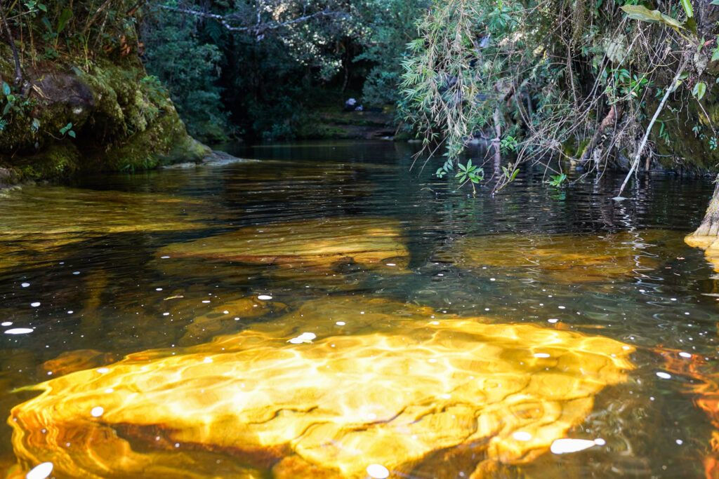 Águas Douradas e os cenários que mostram a diversidade natural de Lima Duarte